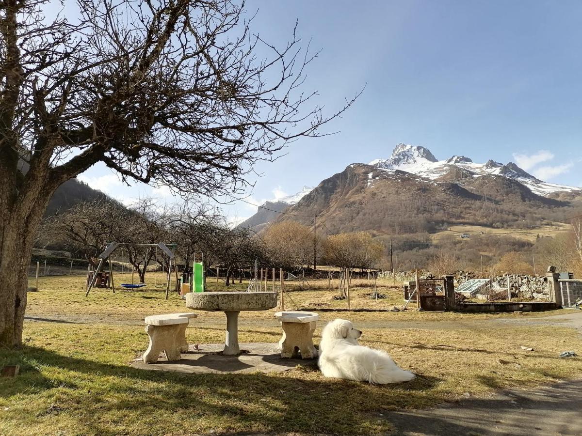 Aux D'estaing Croisés, De Montagne Accessible à Tous
